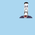 11.png
