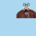 13.png
