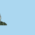 12.png