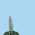 7.png