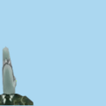 9.png
