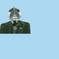 9.png