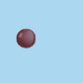 7.png