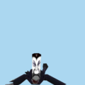 6.png