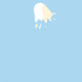 11.png