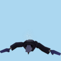 16.png