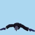 29.png