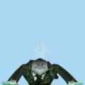 17.png